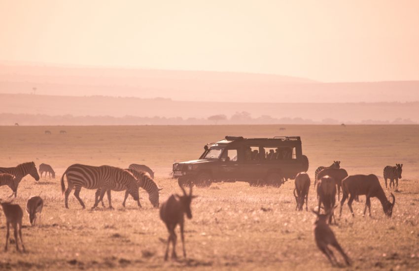 Ol Pejeta Lake Nakuru Masai Mara Safari 6 Days