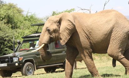 Game drive in Samburu National Reserve