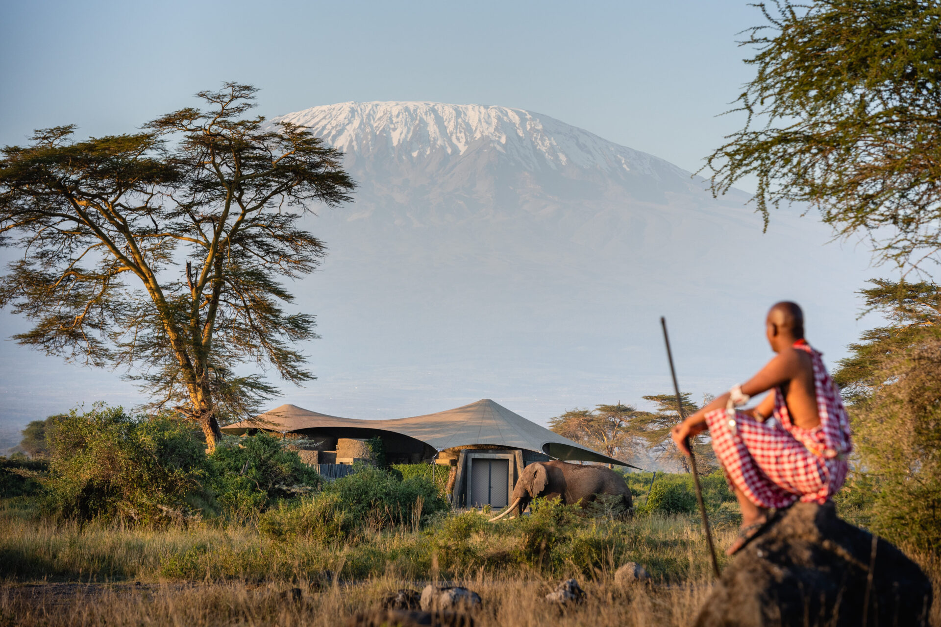 Mount Kilimanjaro viewed from the plains of Amboseli National Park