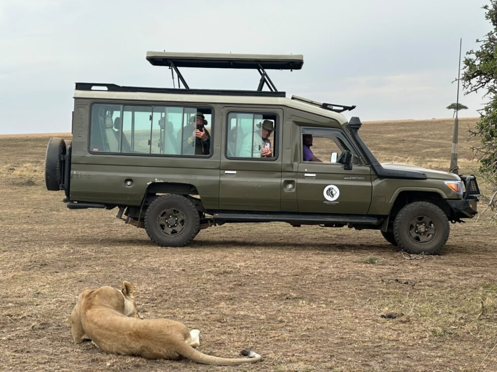 Lions resting during an afternoon game drive in Masai Mara, Kenya