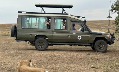 Lions resting during an afternoon game drive in Masai Mara, Kenya