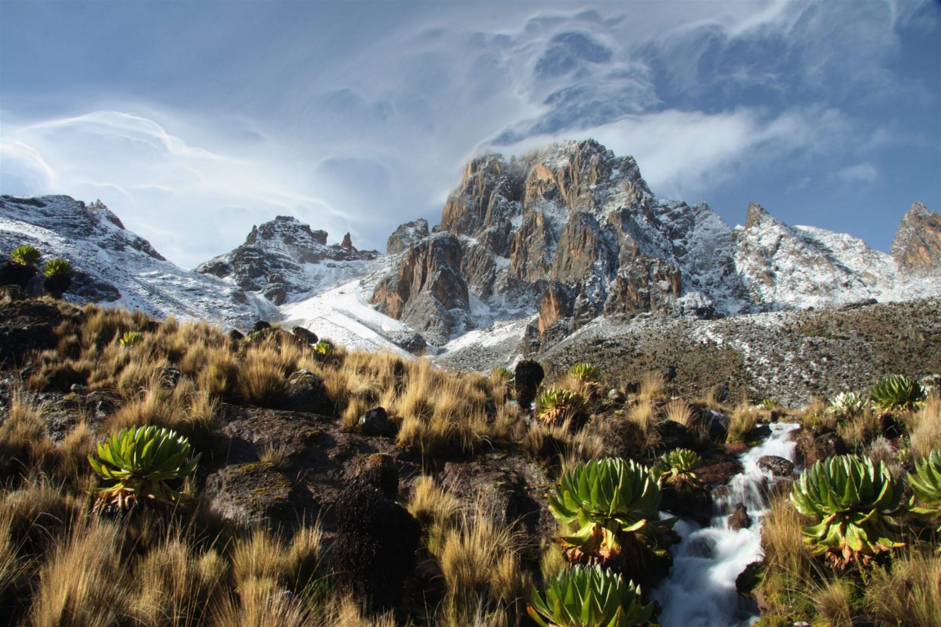 Mount Kenya Trekking