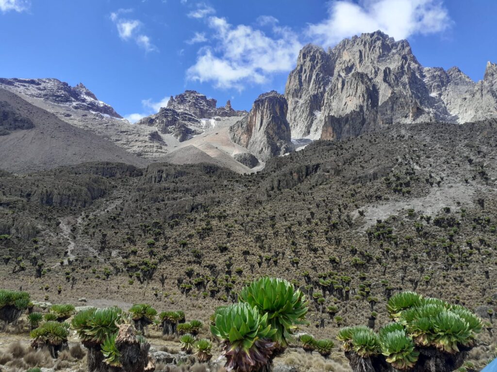 Mount Kenya Trekking