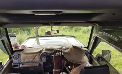 Game drive in Masai Mara