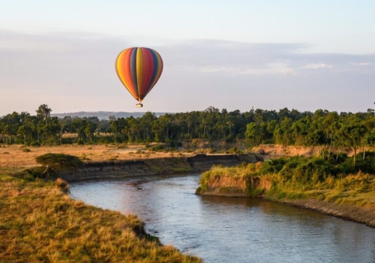 Balloon safari