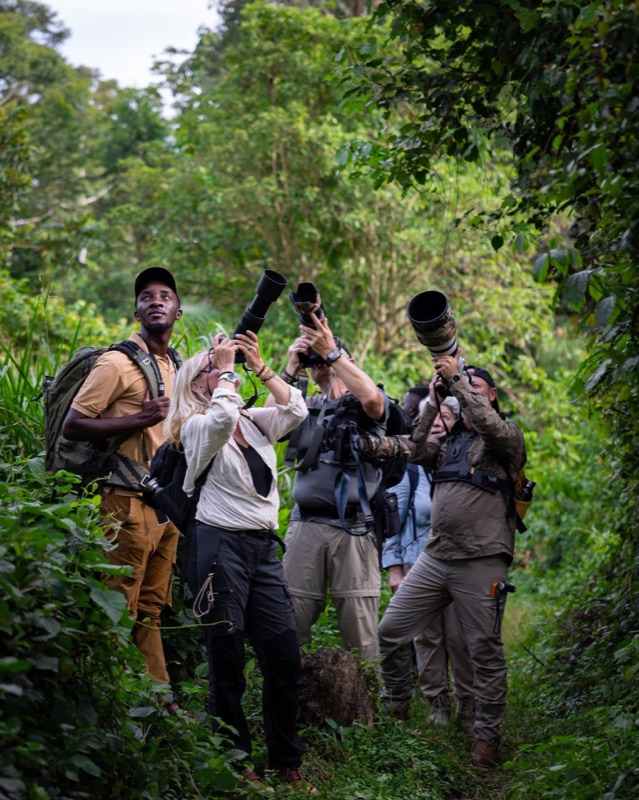 Bird watching safari