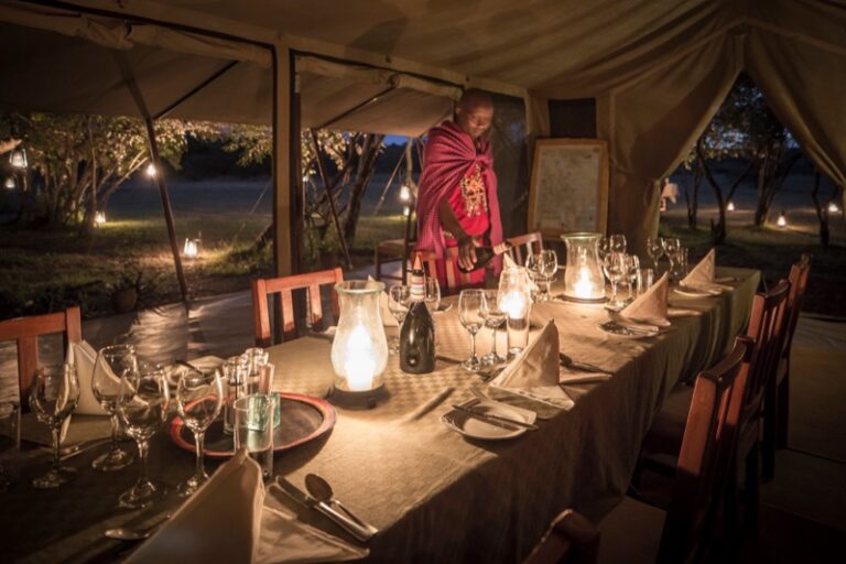 Dinner in the wild