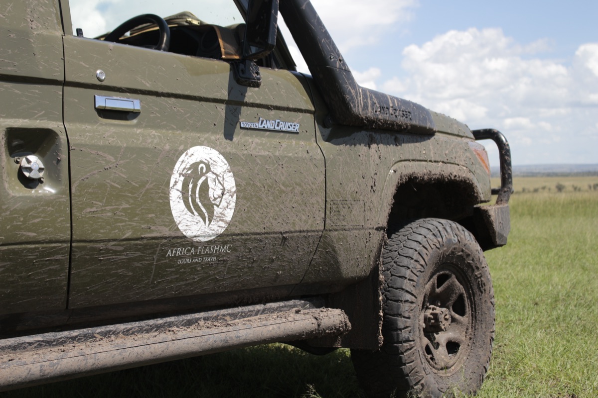 Safari vehicle