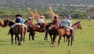 Horseback riding in the Mara