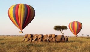 Hot air balloon safari in Masai Mara