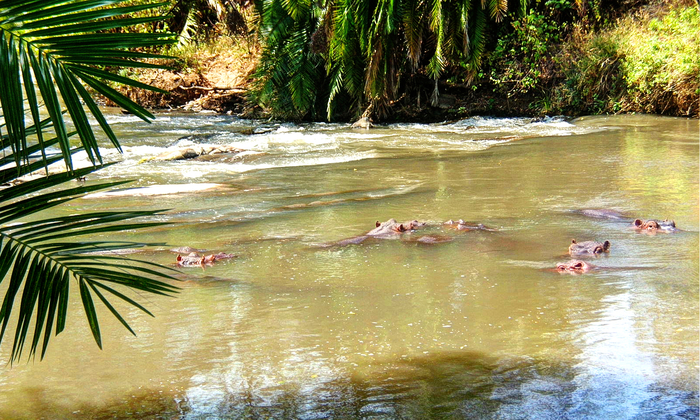 meru national park