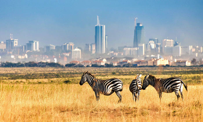 Discover Kenya's National Parks & Reserves | Flash McTours