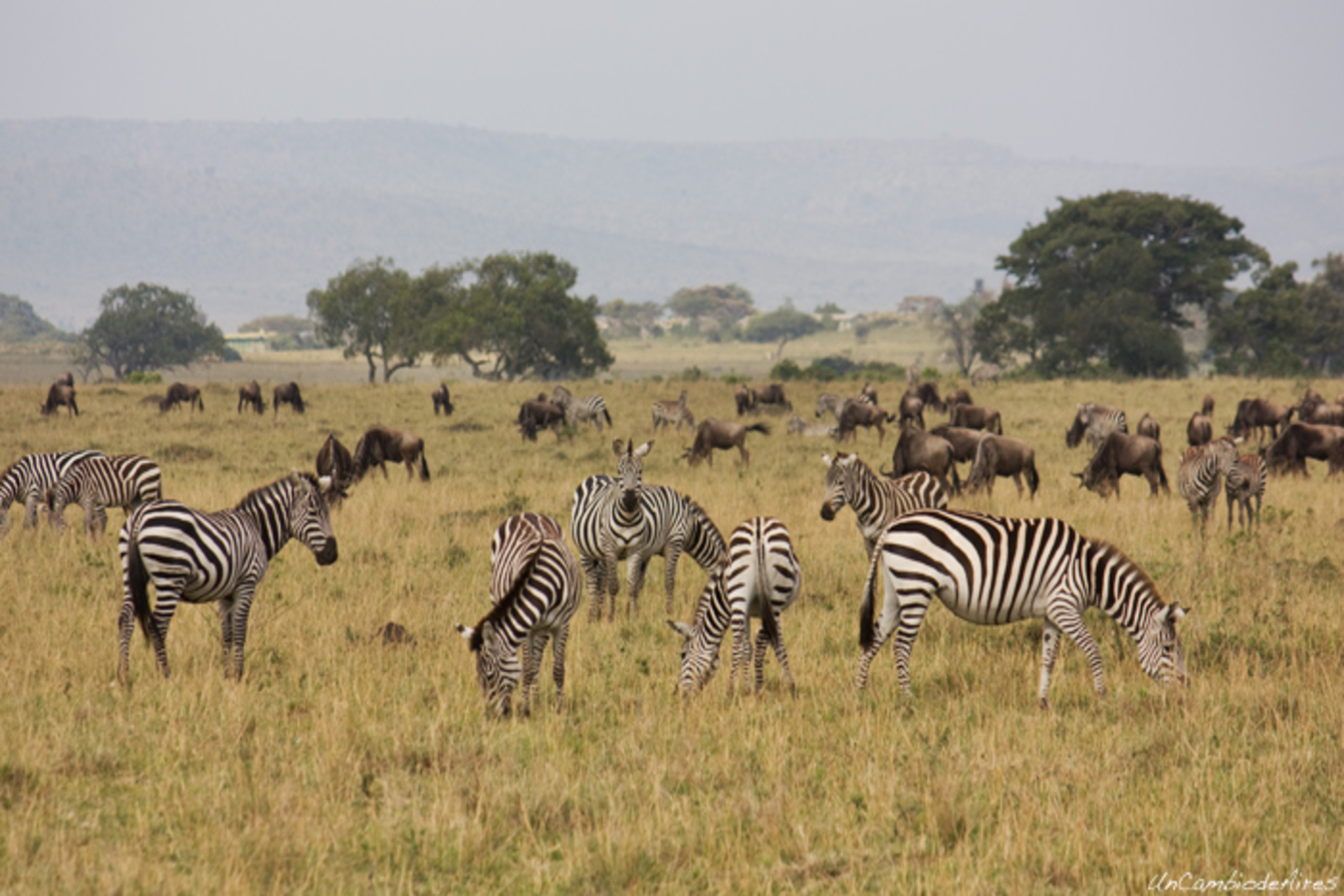 8-kenya-national-parks-and-game-reserves-you-should-see-this-2021