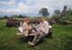 Guests on a picnic lunch while on 3 day Tsavo East and West Safari