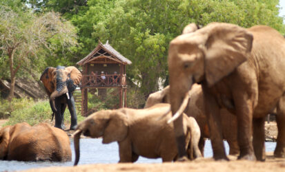 Satao Camp - Luxury accommodation overlooking a Tsavo East waterhole 1