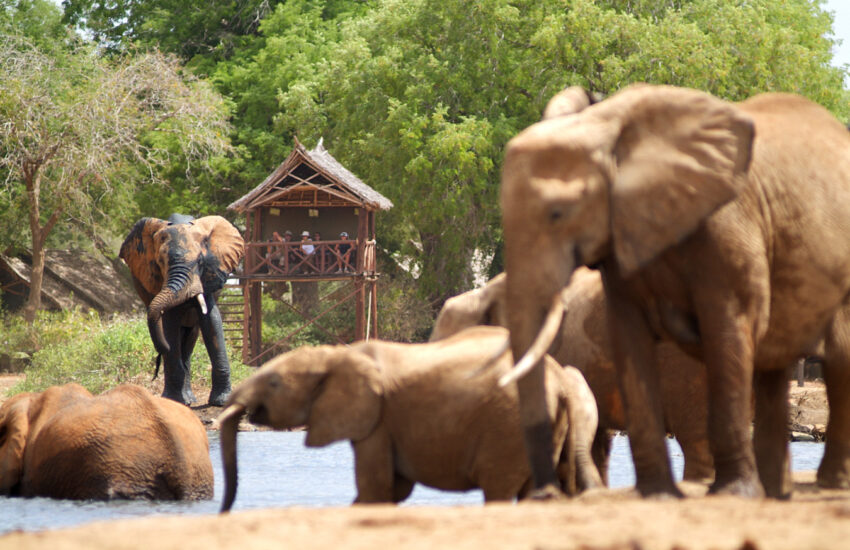 Satao Camp - Luxury accommodation overlooking a Tsavo East waterhole 1