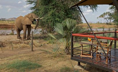 Ashnil Samburu Camp