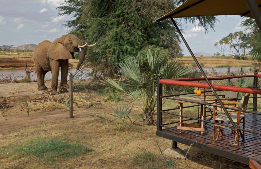 Ashnil Samburu Camp