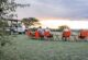 Sundowner drinks overlooking the Mara plains at Zebra Plains Mara Camp 2