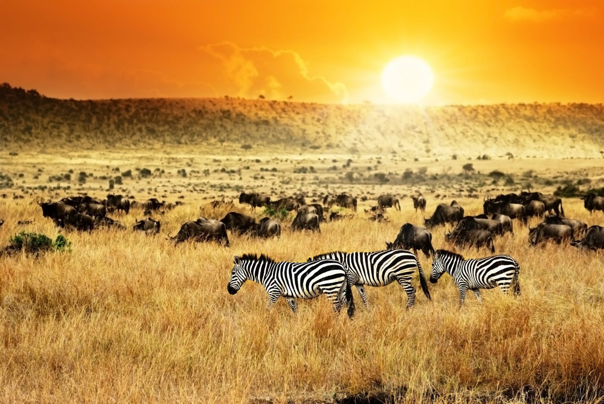 Waterholes, Lakes and Savannahs of Kenya