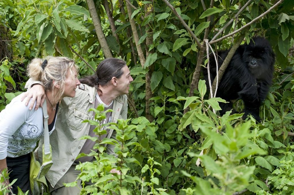 gorilla safaris tours rwanda