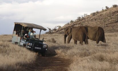 Guided game drive in Lewa Conservancy