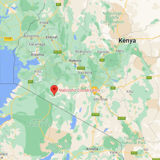 Mara Naboisho Conservancy Map