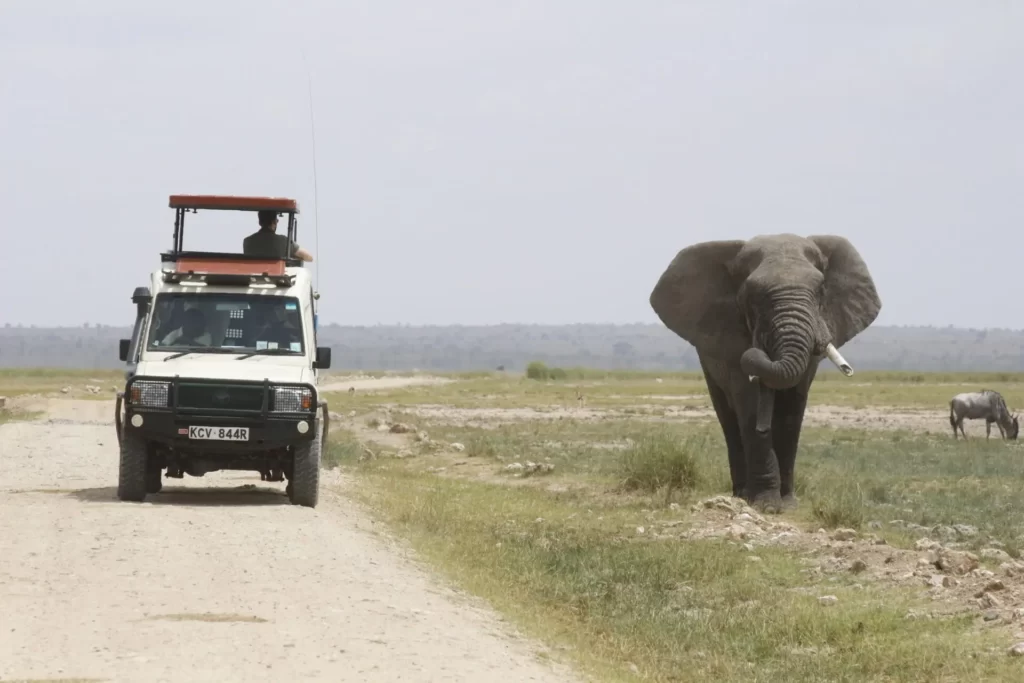 Things to do in Mara Naboisho Conservancy