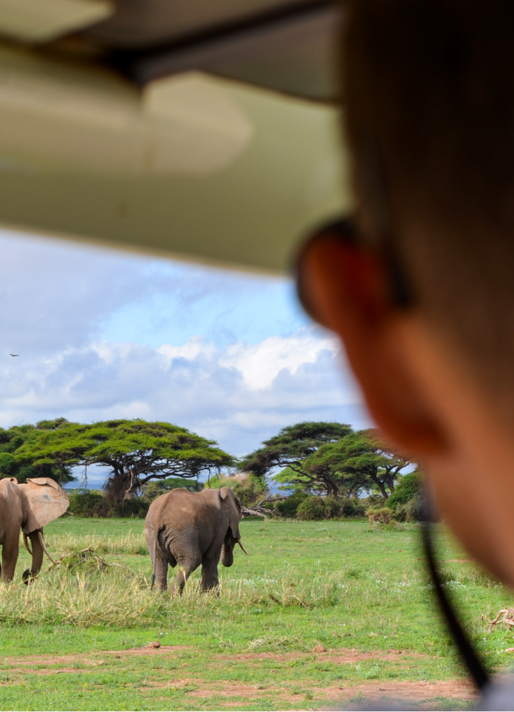 Experience The Big 5 Safari Tours 2024/2025 | Flash McTours