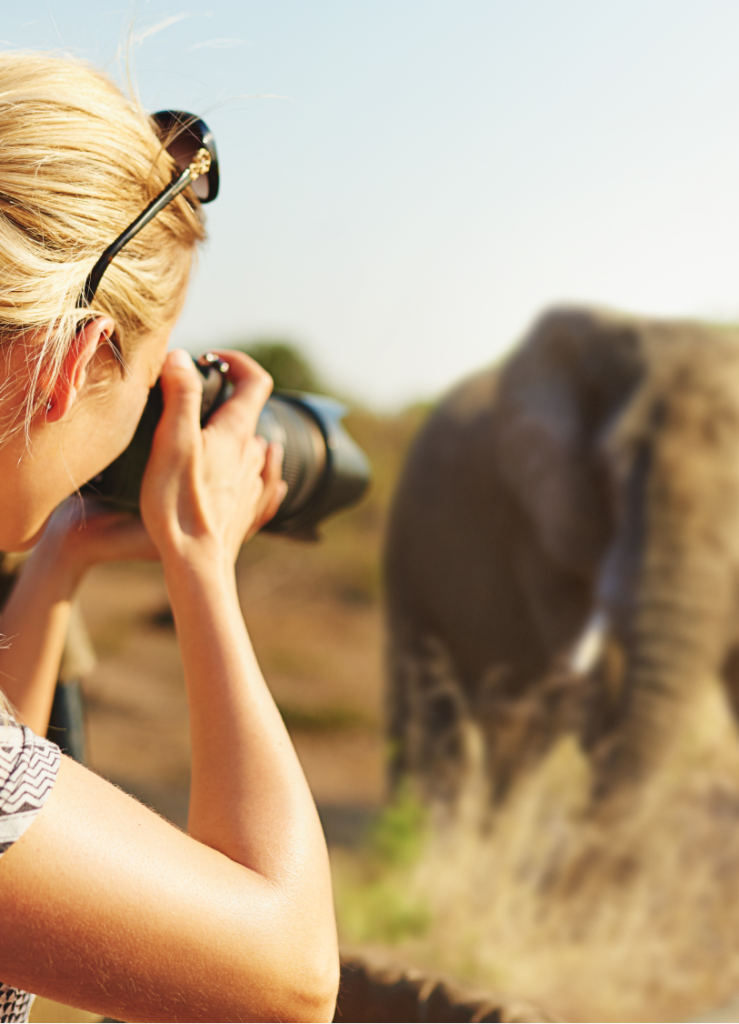 Photography Safaris