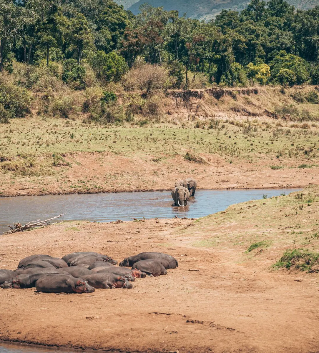 safari holidays tours