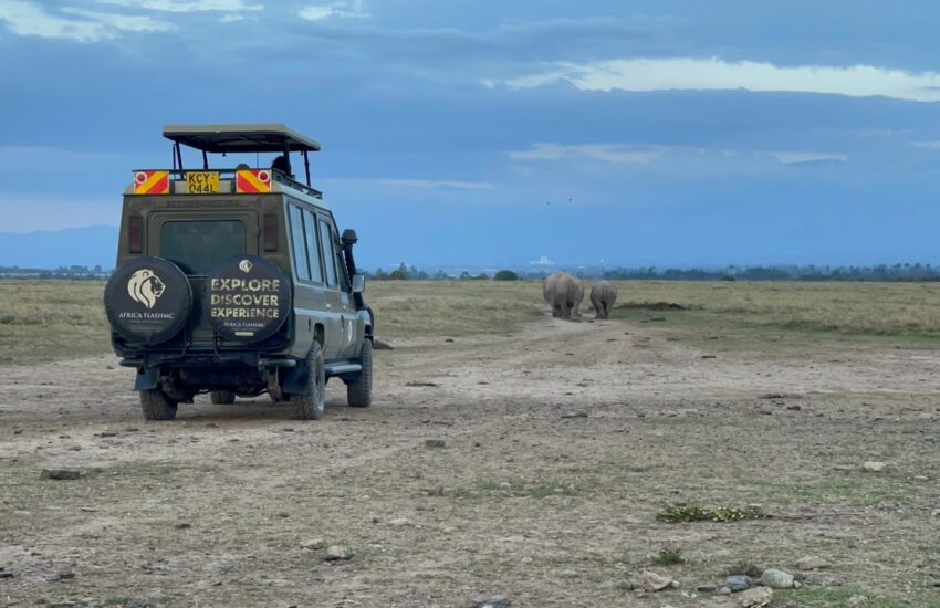 Game Drive in Ol Pejeta
