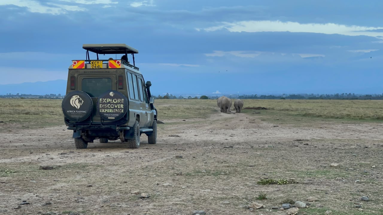 Game Drive in Ol Pejeta