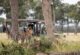 4x4 safari vehicle at a leopard sighting in the Masai Mara