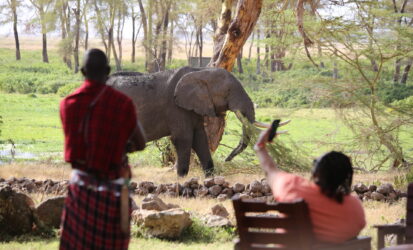 Elephant grazing on the plains of Amboseli National Park, Kenya