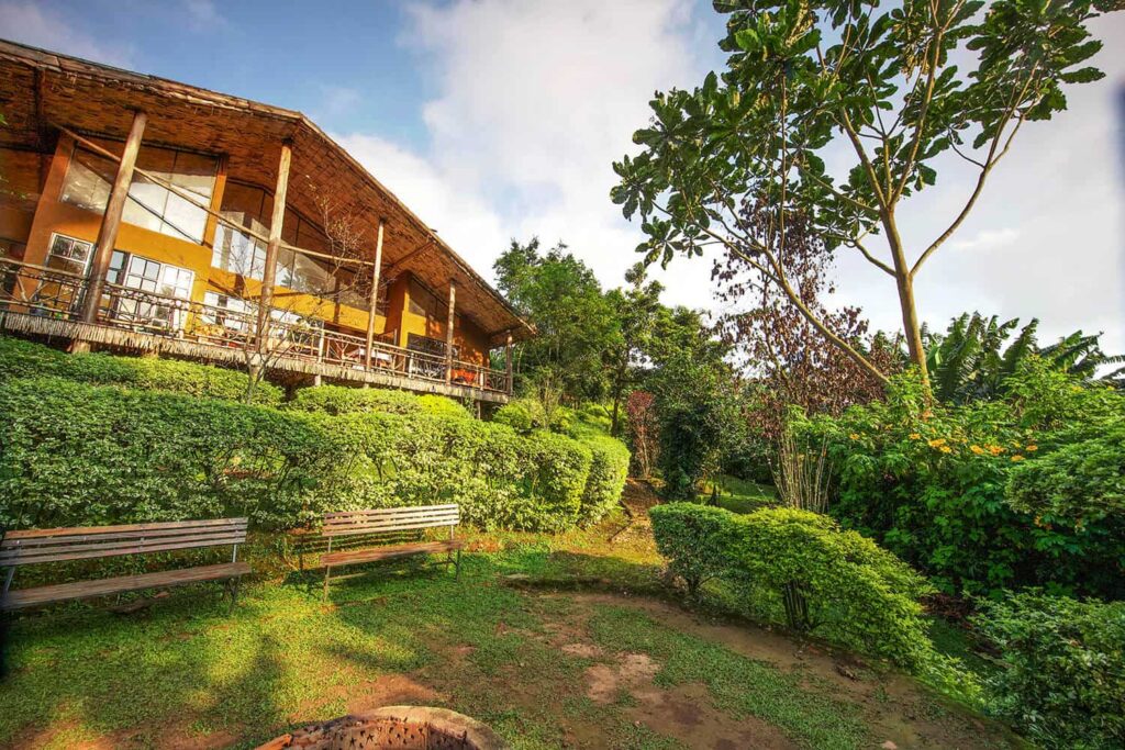 Lush scenery at Mahogany Springs Lodge in Uganda | Flashmctours
