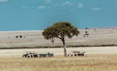 4x4 safari vehicle on a game drive during a Tanzania Honeymoon Safari