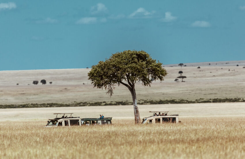 4x4 safari vehicle on a game drive during a Tanzania Honeymoon Safari