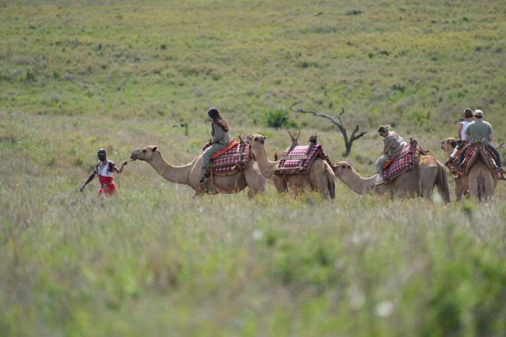 Camel Safaris on Kenya Family Safaris