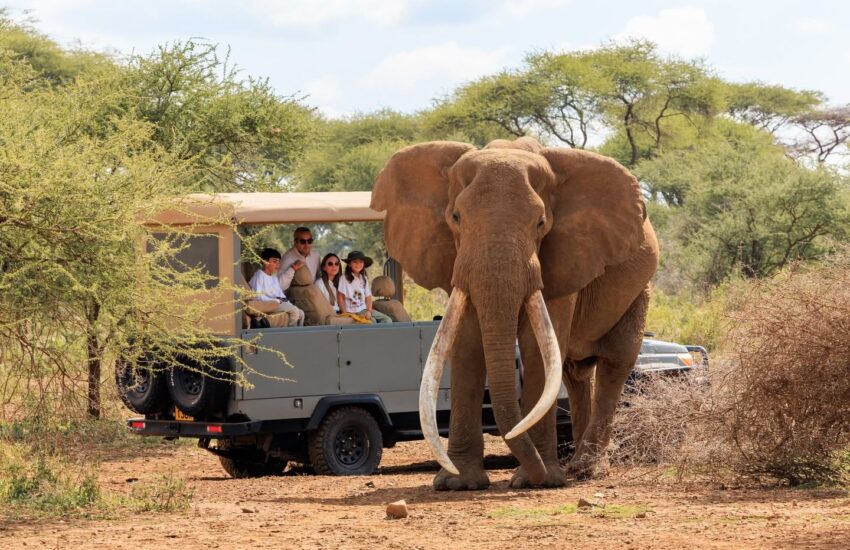 Close encounter with an elephant beside a safari vehicle with guests on board