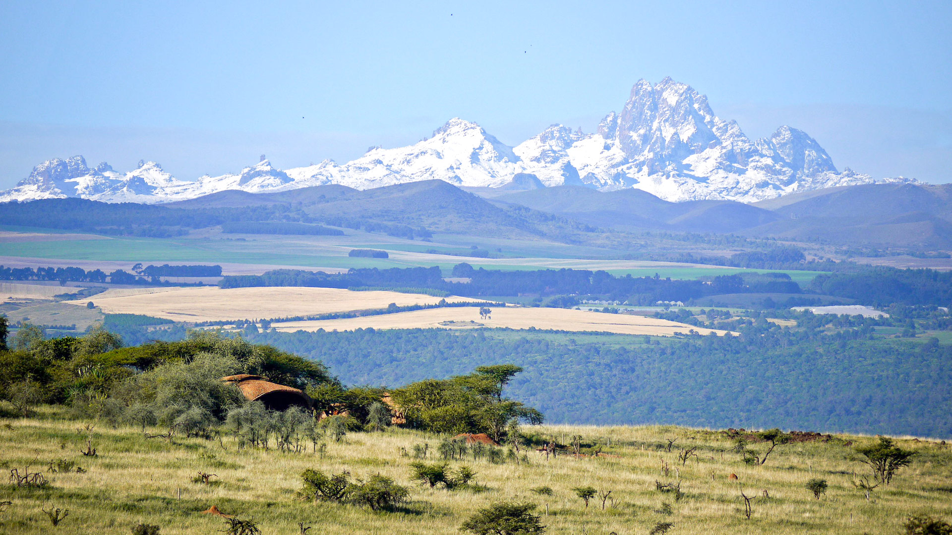 Lewa House