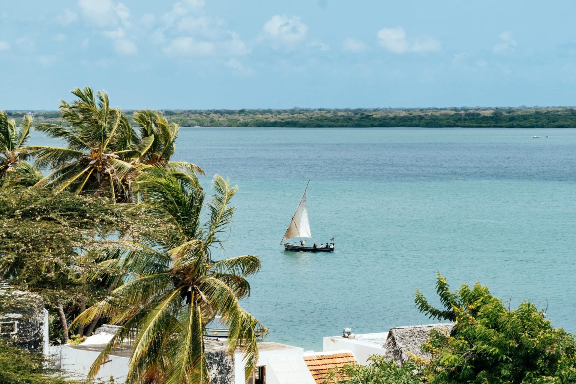 Lamu Sailing